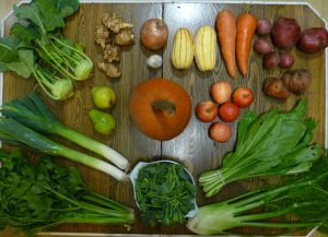 csa veggies root localvore