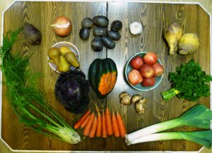 csa winter acorn squash