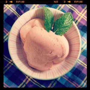 Strawberry Coconut-Milk Ice Cream (sugar free & dairy free)