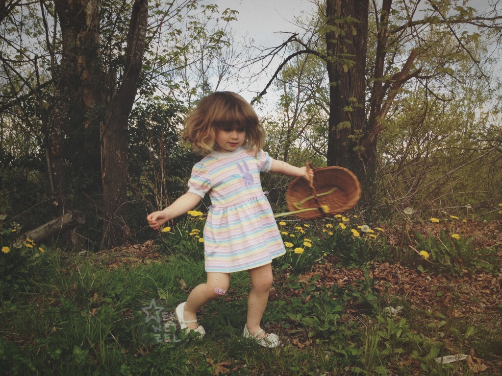 phoebe dances in the dandelions