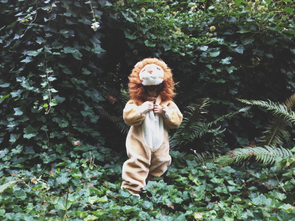 self-acceptance journey path lion suit ivy