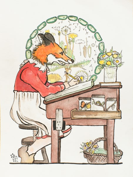 fox girl botany