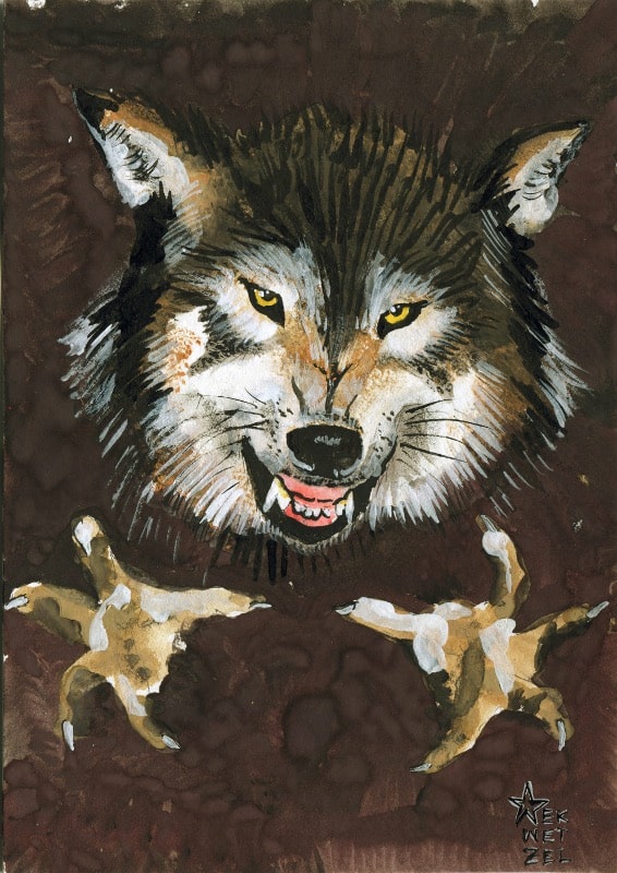The trope of the Big Bad Wolf is pervasive in western culture. In stories such as Aesop’s Fables and Grimms’ Fairy Tales, the Wolf is a dark stranger whose hunger is so desperate he will devour his victims whole.